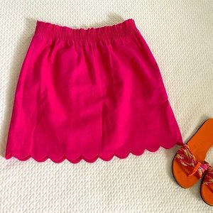 J. Crew Skirt